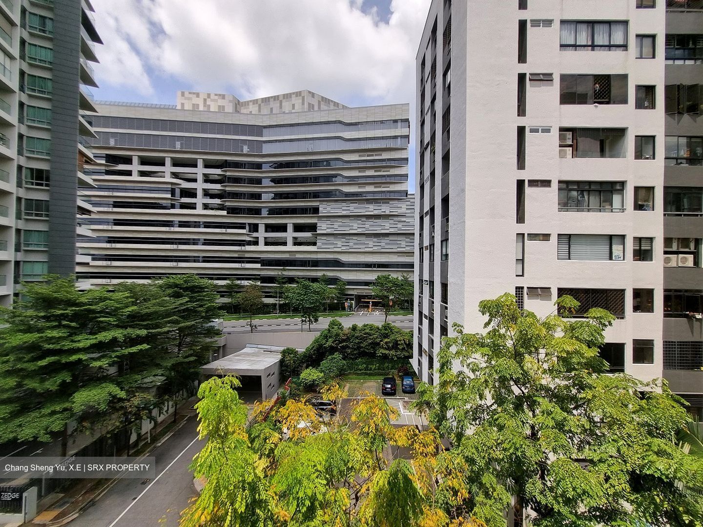 Pastoral View (D11), Apartment #443366141